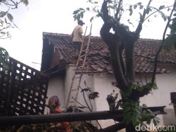 Angin Puting Beliung Pasuruan: Lokasi dan Jumlah Kerusakan