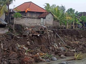 4 Rumah-Kandang Babi di Karangasem Tergerus Air Sungai