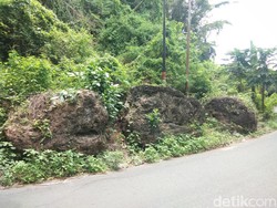 Misteri Ular Hitam Raksasa Penunggu Batu Miana di Polewali Mandar