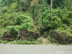 Cerita Horor Kawasan Batu Miana di Polman yang Dijaga Ular Hitam Raksasa Cerita Horor Kawasan Batu Miana di Polman yang Dijaga Ular Hitam Raksasa