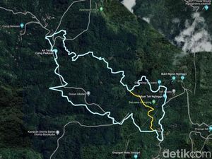 Gratis! Forest Run di Deloano Purworejo Akhir Pekan Ini, Hadiah Puluhan Juta