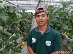 Dadan Ridwan, Petani Muda Pembawa Ilmu Jepang ke Tasikmalaya