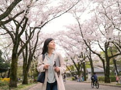 Sudah Buka Perbatasan, Begini Cara Apply Visa Jepang!