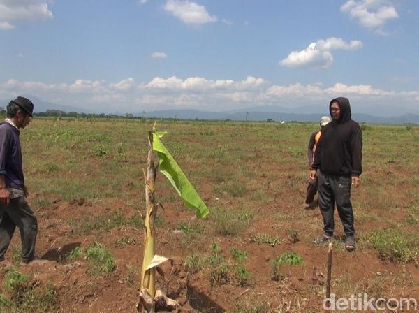 Ini Lahan Relokasi Kawasan Industri Pulogadung di Subang