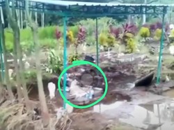 Peristiwa Mayat Bermunculan Usai Banjir Tulungagung Terjadi Dua Kali