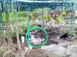 7 Fakta Penampakan Tiga Mayat Menyembul Usai Makam di Tulungagung Banjir 7 Fakta Penampakan Tiga Mayat Menyembul Usai Makam di Tulungagung Banjir