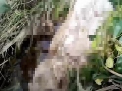 Ada Tiga Mayat Bermunculan Usai Makam Tulungagung Disapu Banjir