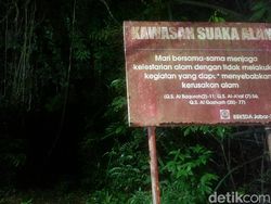 Kicauan Burung yang Bikin Merinding di Gunung Tangkil