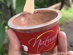 Natural Ice Cream, Es Krim Viral dari Bandung