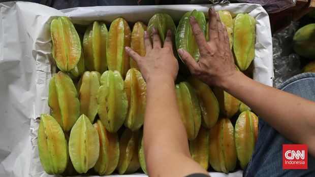 71 Ribu Perempuan Usia Subur di Indonesia Memilih Childfree