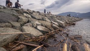 Sampah Kiriman Kotori Teluk Palu
