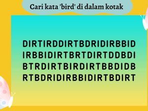 Seberapa Cepat Temukan yang Janggal? Harusnya Sih Bisa Jawab dalam 5 Detik