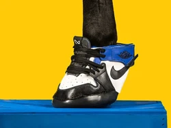 Ada Sneakers Khusus Kuda, Harganya Lebih Mahal dari Sepatu Manusia