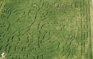 Deretan Lanskap Labirin yang Keren Banget