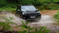 Kala Mobil Subaru Forester Kembali ke Alam