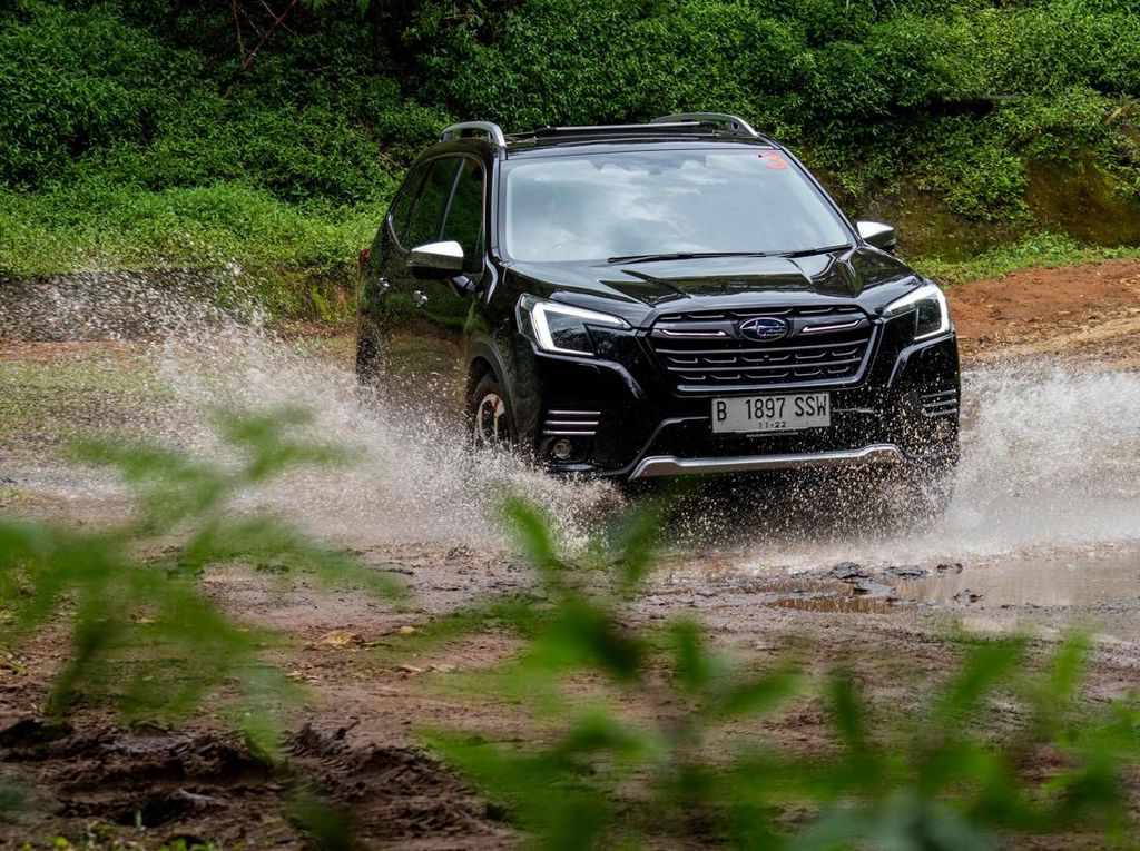 Kala Mobil Subaru Forester Kembali ke Alam