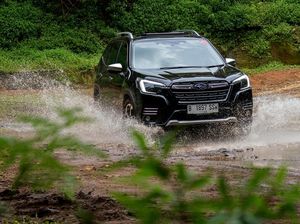 Kala Mobil Subaru Forester Kembali ke Alam Kala Mobil Subaru Forester Kembali ke Alam