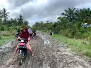 Penampakan Jalan Rusak yang Dibangun Kuburan oleh Warga di Batu Bara