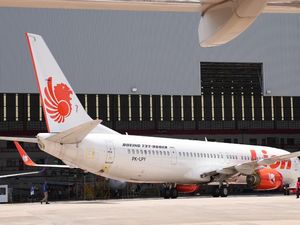 Disentil Lewat Video Parodi di Medsos, Lion Air Buka Suara