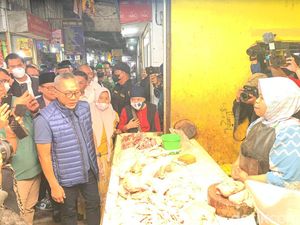 Harga Ayam di Malang Terlalu Murah, Mendag Zulhas: Peternak Bisa Bangkrut