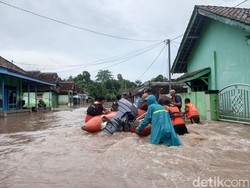 Banjir Lampung Selatan Meluas ke 5 Kecamatan, 1.678 Rumah Terendam