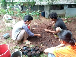 Mengenal Nganger, Program Unggulan Sekolah Alam di Cirebon