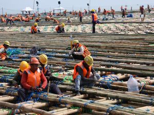 Proyek Tol Semarang-Demak Pakai 7 Juta Batang Bambu dari Jawa-Kalimantan