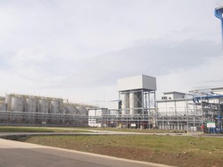 Pabrik Wilmar di Serang Serap Tenaga Kerja Lokal hingga 80%