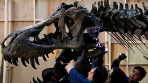 Fosil T. Rex Mau Dilelang, Harganya Dahsyat!