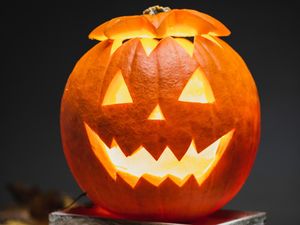 Kenapa Halloween Identik dengan Labu? Ini Alasan, Sejarah dan Maknanya Kenapa Halloween Identik dengan Labu? Ini Alasan, Sejarah dan Maknanya