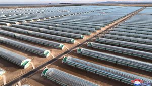 Mengintip Pertanian Rumah Kaca Megaproyek Kim Jong Un