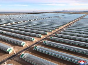 Mengintip Pertanian Rumah Kaca Megaproyek Kim Jong Un