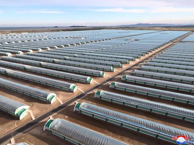 Mengintip Pertanian Rumah Kaca Megaproyek Kim Jong Un