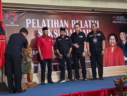 Sudirta Minta Kader PDIP Bali Jadi Otot, Biji Mata, Otak Partai