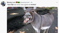 Meme ini menggambarkan fans Liverpool terlihat bodoh apabila masih mengungkit-ungkit rekor Van Dijk di Anfield. (Foto: Twitter)