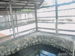 Jimat Perantau dari Pohon Cabai Sumur Manurung Lapakkita Pinrang