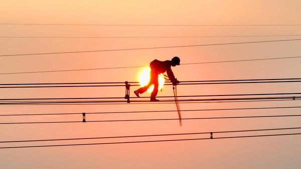 Potret Pekerjaan Menantang Maut! Lihatnya Saja Merinding