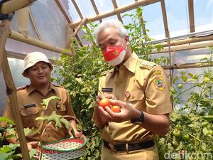 Ganjar Minta Warga Berkebun untuk Siap Hadapi Situasi Sulit Ganjar Minta Warga Berkebun untuk Siap Hadapi Situasi Sulit