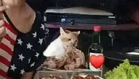 Apes! 10 Netizen Gagal Makan Gegara Hewan Peliharaannya