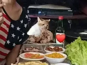 Apes! 10 Netizen Gagal Makan Gegara Hewan Peliharaannya