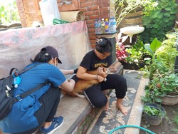 Rabies Telan Korban Jiwa, Distan Buleleng Vaksinasi di Desa Tirtasari