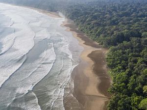 Mencoba Hidup di Alam Liar, 3 Orang Satu Keluarga Tewas Mengenaskan Mencoba Hidup di Alam Liar, 3 Orang Satu Keluarga Tewas Mengenaskan