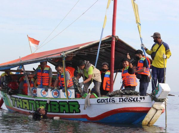 Restorasi Kerang Hijau di Laut Jakut