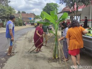 Warga Blitar Tanam Pohon Pisang Protes Jalan Rusak Warga Blitar Tanam Pohon Pisang Protes Jalan Rusak
