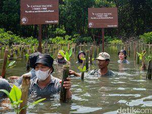 Aksi Nyata Restorasi Ekologi dan Ketahanan Iklim lewat Penanaman Mangrove