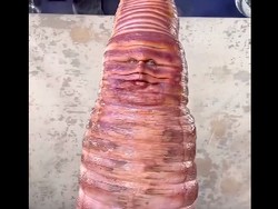 Heidi Klum Jadi Cacing di Halloween 2022, Wajahnya Tak Dikenali Jadi Begini