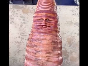 Heidi Klum Jadi Cacing di Halloween 2022, Wajahnya Tak Dikenali Jadi Begini Heidi Klum Jadi Cacing di Halloween 2022, Wajahnya Tak Dikenali Jadi Begini
