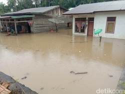Banjir Aceh Tamiang Diduga Akibat Alih Fungsi Hutan jadi Kebun Sawit