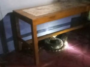 Ngeri! Piton 5 Meter di Gresik Ngumpet di Bawah Meja Teras Rumah