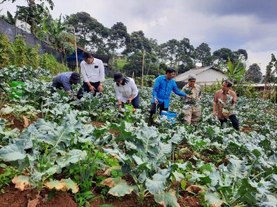 Program Pembinaan UMKM Pertanian